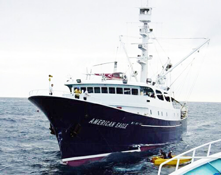 FV American Eagle
