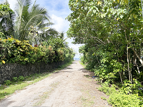 location where flight Pan Am flight 806 crashed