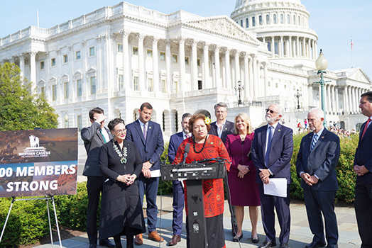 Congresswoman Uifa’atali Amata