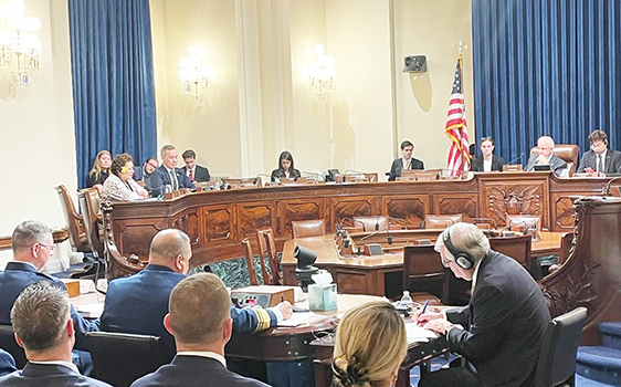 Amata speaking in committee