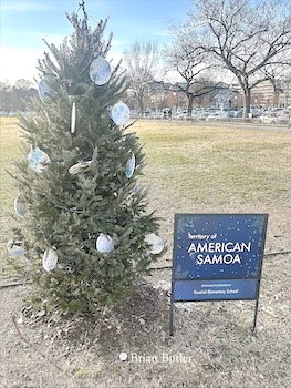 American Samoa ornaments at White House