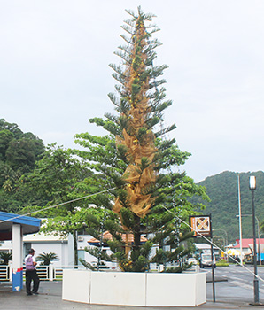 Territorial Christmas Tree 2020