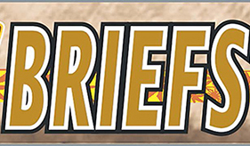 Fono Briefs logo