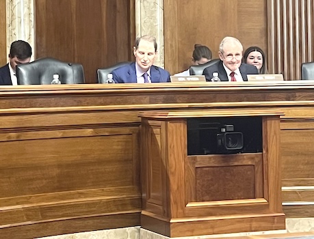 Chairman Wyden and Vice Chairman Risch