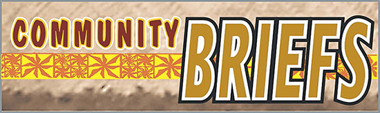 COMMUNITY BRIEFS LOGO