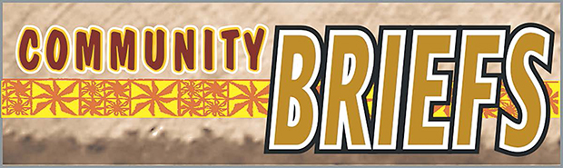 COMMUNITY NEWS BRIEFS LOGO