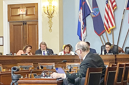 Congresswoman Uifa’atali Amata speaking