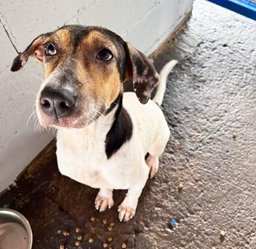 CAP needs a home.
