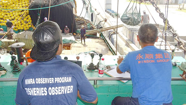 Monitors observing a purse seiner unloading in Majuro