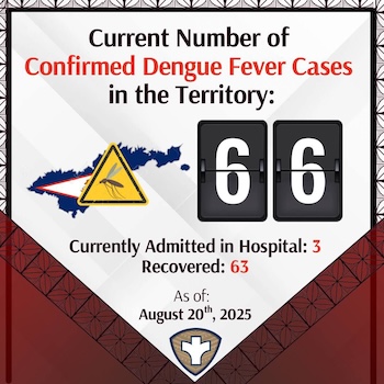 dengue fever cases