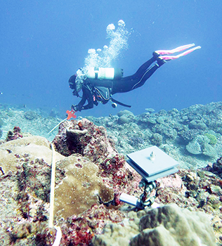 Diver deploying monitoring equipment on reef