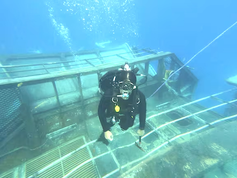 Diver on sunken ship