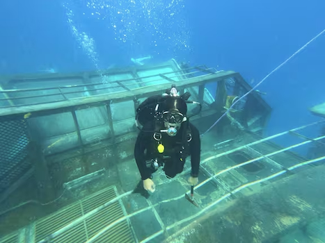 Diver on sunken ship