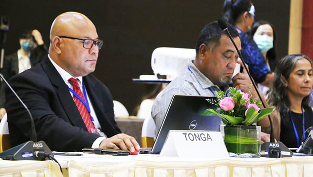 Dr Tu’ikolongahau Halafihi 