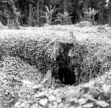 This black and white photo from the 1950s shows the entrance into the main shaft of the Falemauga Caves on Upolu island in Samoa.