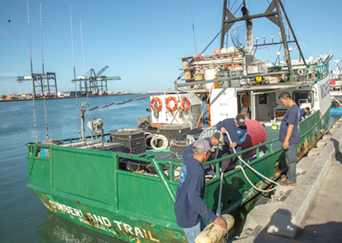 stern-facing electronic monitoring cameras