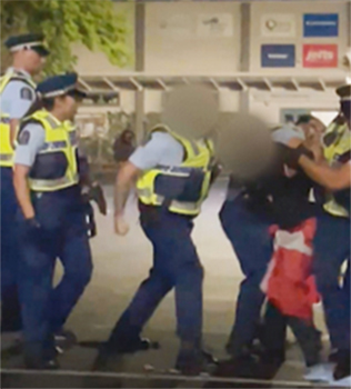 Video of police and man