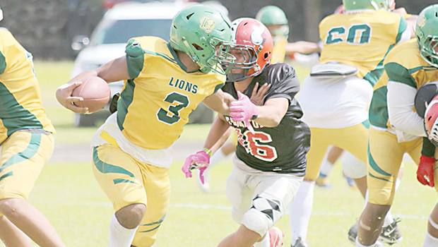 Leone Lions Elama Palemene