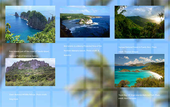 examples of the 5 territories' protected species and lands