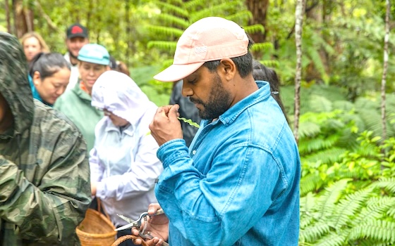 indigenous educators 