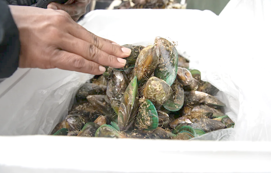 Labor struck agreements 