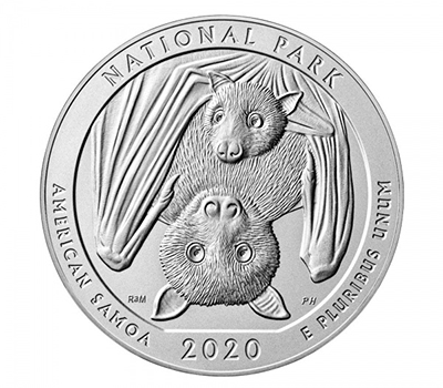 A Samoan fruit bat mother hanging in a tree with her pup