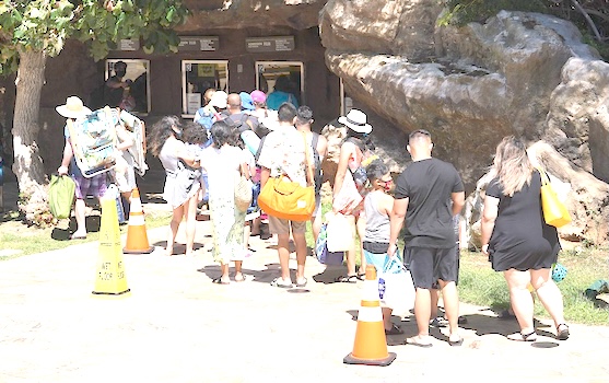 Hanauma Bay waiting line
