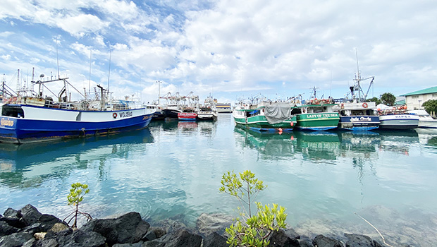 Fishing boats in the channel adjacent to the Pier 38 Fish Market, Honolulu Harbor