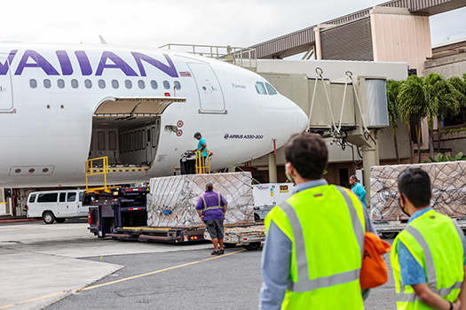 Hawaiian Air employees unload HAL plane bringing masks to Hawaii.