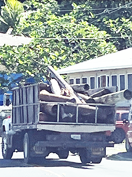 Truck hauling off debris from Alega property