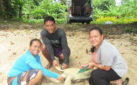 Juney Ward measuring turtle