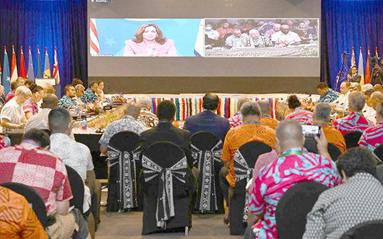 US vice president Kamala Harris and her virtual audience