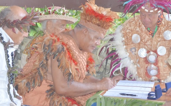 Kaumaiti Nui, Travel Tou Ariki 