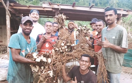 Saimon Lomaloma and others with kava