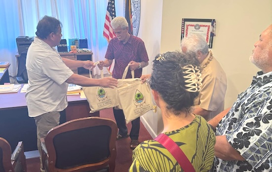 Lt. Governor Pulu