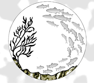 Magnunson Sevens Act logo