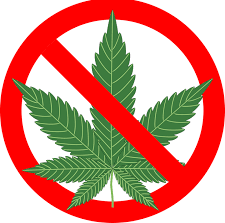 NO MARIJUANA GRAPHIC