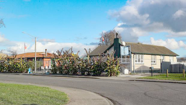 Matamata family homes