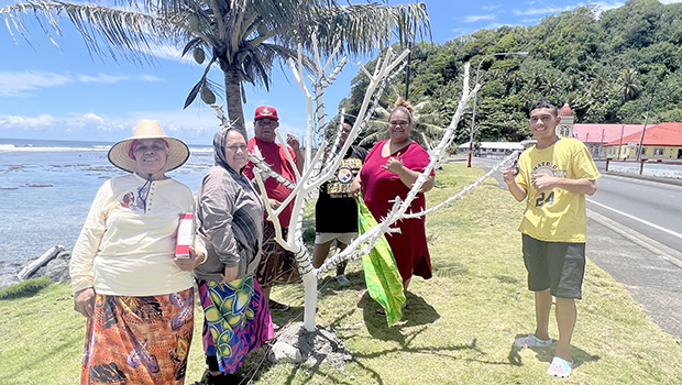 Matu’u & Faganeanea Youth putting up their Christmas display