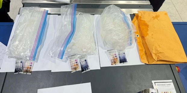 meth found in chicken