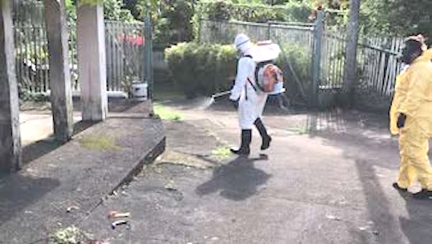 SPRAYING TO PREVENT DENGUE FEVER