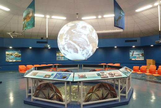 marine sanctuary ocean center