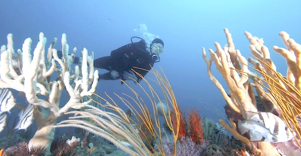 PROPOSED MARINE RESERVE