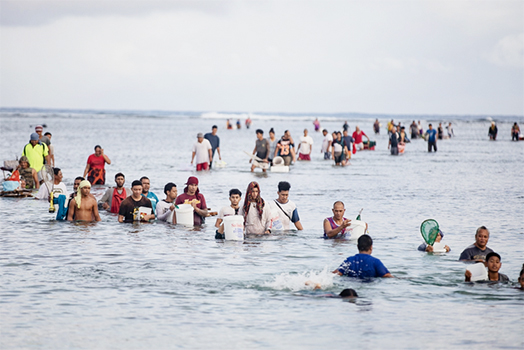 Palolo hunters in Samoa