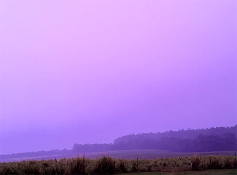 purple colored sky