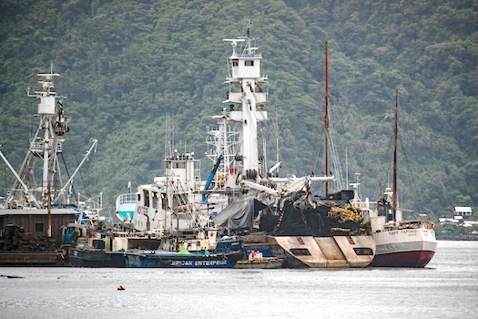 purse seiners in Pago Pago harbor