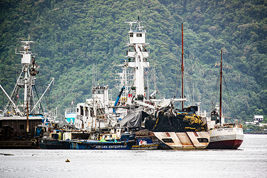 Purse Seiner vessels in Pago harbor
