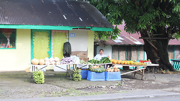 Asian-operated roadside stall at Faleniu