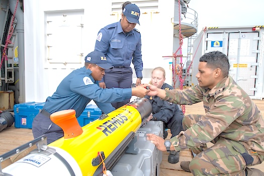 Remote Environmental Monitoring Unit (REMUS)