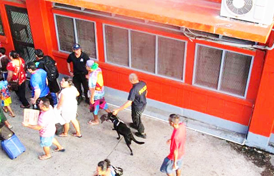  File photo of police canine on drug sniffing duty at Mulifanua Wharf